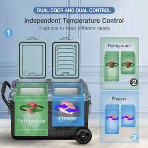 WAYCOOL WEG45 38L réfrigérateur de voiture électrique Mini Portable petite boîte de refroidissement de voiture 12 volts 24 volts pour voiture voyage à domicile