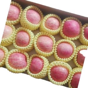 Malla de espuma de PE para protección y amortiguación de aguacates, mangas de espuma para frutas - Product Image 2