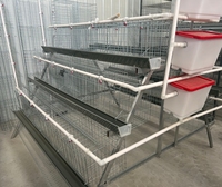 Cages à poules pondeuses neuves de 6 pieds, écologiques, imperméables et sécurisées, vente en gros