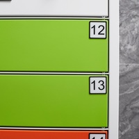 Casillero de entrega de paquetes inteligente al aire libre expreso personalizado OEM/ODM con gabinete de acceso rápido de Bloqueo Electrónico