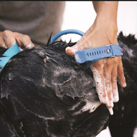 Pommeau de Douche Massant pour Animaux de Compagnie - Outil de Toilettage pour Chiens et Chats en ABS et Silicone avec Adaptateurs