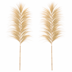 Arreglos Minimalistas de Pampas, Hechos a Mano con Hierba Seca Natural Rayung, Elegante Still Life con Tallos de Bambú Decorativos - Product Image 6