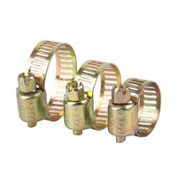 Abrazadera de Manguera de Doble Línea de Acero Galvanizado Personalizable con Manija, 29 mm de Diámetro Interior, Resistente, para Uso Industrial