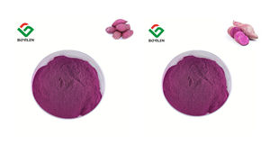 Gevriesdroogd Paars Zoete Aardappelpoeder Natuurlijk - Product Image 2