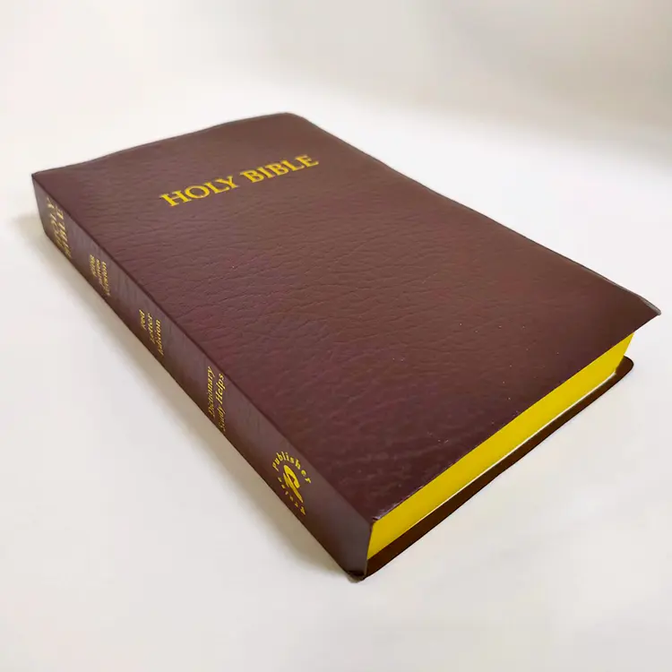 Letrs-libro personalizado de santa reina valera, 1960, kjv, Santo niv, impreso de la Biblia