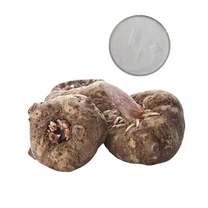 Toptan yüksek fiber Konnyaku kök un Konjac un madde knojac nodrice/pirinç konjac tozu