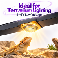 LED UV à haute puissance radiante 40-50mW, longueur d'onde maximale 305-315nm, **Diode UVB**, angle de vision de 60 degrés, base AIN