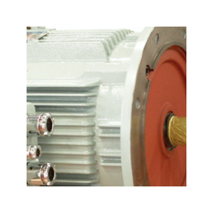 [Hyosung] AC động cơ Hàn Quốc chất lượng cao mạnh mẽ mô-men xoắn cao AC động cơ 80m 0.75kw AC động cơ kotra - Product Image 4