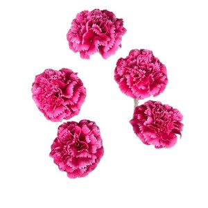 Artificial Carnations Mixed Colors <b>Silk</b> <b>Flower</b> Wedding Decor Home Decoration Photography Props - Product Image 5