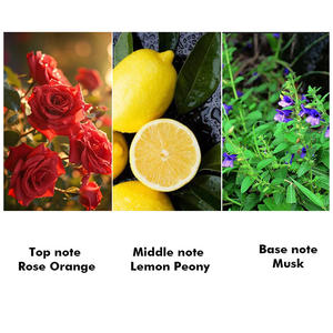 <span class=keywords><strong>Parfum</strong></span> <span class=keywords><strong>à</strong></span> l'huile essentielle <span class=keywords><strong>de</strong></span> Dubaï, Moyen-Orient, arabe, haute concentration, <span class=keywords><strong>parfum</strong></span> <span class=keywords><strong>de</strong></span> rose pour femme, 10 ml - Product Image 5