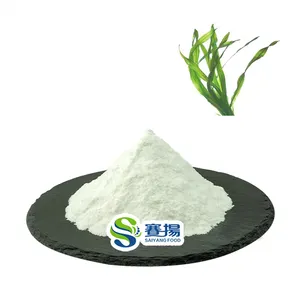 Pasokan pabrik ISO alami larut kualitas makanan rumput laut hijau bubuk ekstrak tanaman Fucoidan