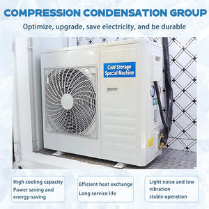 <span class=keywords><strong>Chambre</strong></span> <span class=keywords><strong>Froide</strong></span> Conteneurisée de 20 Pieds à Énergie Solaire, Stockage Frigorifique Portable pour Poissons, Viandes, Fruits et Légumes à Vendre - Product Image 3