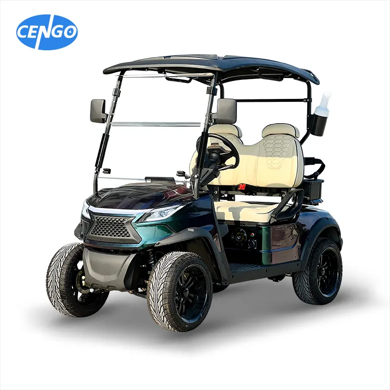 Best Prices 48v New Design 2 Person Off-road Hunting Cart 4 Wheel Drive Golf Kart Luxury For Sale