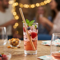 Pailles à boire écologiques en bambou jetables, compostables, recyclables et biodégradables, longueur 200 mm, pour les mariages, les fêtes, les événements, la vaisselle de table