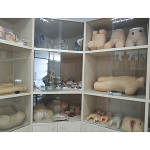 Modelo Ginecológico de PVC de Tamaño Real FT33B Marca ADA con Certificación ISO para Educación en Salud Materno-Infantil y Planificación Familiar en Hospitales - Product Image 3