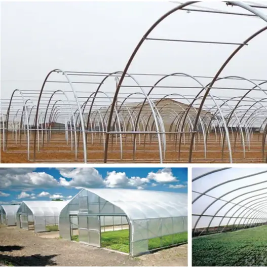 Complete Arch plastic film agriculture greenhouse project with strawberry and tomato hydroponics