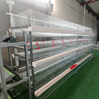 Cage à poulets automatique de type H à 4 niveaux et 5 portes, système de cages en batterie en forme de A pour 10 000 oiseaux