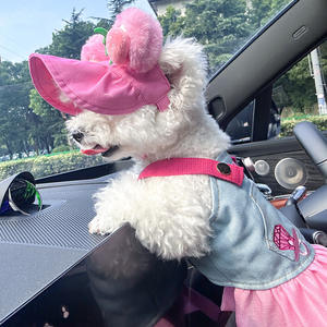 Lindo Vestido de Mezclilla y Volantes Rosas para Perro con Conjunto de Sombrero para el Sol a Juego - Atuendo de Verano para Perros Pequeños y Cachorros, Ropa para Mascotas - Product Image 4