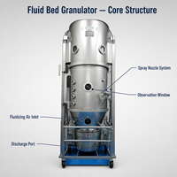 Granulateur à lit fluidisé SUS304 pour poudres chimiques, additifs alimentaires, matériaux de batteries à énergie nouvelle et applications d'ingénierie
