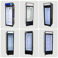 Réfrigérateur vertical pour boissons gazeuses à 1 porte, éclairage LED, refroidissement direct, professionnel, personnalisé, pour bar/bière, certifié Energy Star