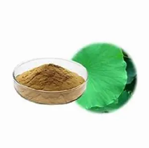 Campione gratuito fornitura di fabbrica cinese flavone l nuciferine blue lotus extract powder per capsula dimagrante foglia di loto