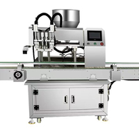 Machine de remplissage automatique haute capacité à 2 têtes pour bouteilles de boissons et de lotions corporelles