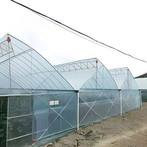 Invernadero Tipo Túnel Pequeño de un Solo Tramo, Diseño Plegable, Película de PE Transparente Estable, Fácil Montaje, Cultivo de <span class=keywords><strong>Remolacha</strong></span> por Temporada - Product Image 6