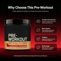 Suplemento Dietético en Polvo Energético Pre-Entrenamiento OEM/ODM para Reparación Muscular y Resistencia, Sabores Frutales, Marca LuvVita, Suministro a Granel