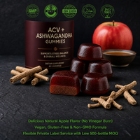 Gummies classiques au vinaigre de cidre de pomme 500 mg en gros pour la détoxification quotidienne, le soutien digestif et immunitaire, supplément végétalien en gommes pour adultes, en vrac