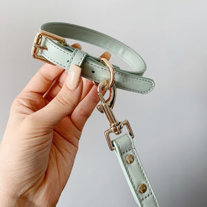 Juego de correa de <span class=keywords><strong>collar</strong></span> de perro pequeño para cachorro ajustable con soporte de bolsa de caca duradero para entrenamiento, caminar, diseño cómodo, accesorios para mascotas - Product Image 6