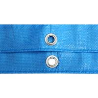 Bâche en plastique imperméable/résistant aux UV/PE/HDPE/polyéthylène/Poly-toile pour camion/camion/voiture/couverture de canopée, 150 g/m²