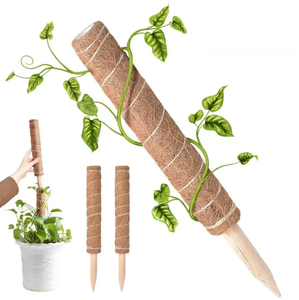 Poteau d'escalade <span class=keywords><strong>pour</strong></span> <span class=keywords><strong>plantes</strong></span> de haute qualité, <span class=keywords><strong>support</strong></span> transparent blanc <span class=keywords><strong>pour</strong></span> Monstera, <span class=keywords><strong>support</strong></span> empilable en <span class=keywords><strong>bois</strong></span> <span class=keywords><strong>pour</strong></span> <span class=keywords><strong>plantes</strong></span>, poteau en mousse - Product Image 6