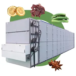 Gengibre Alho Data Milho Konjac Cravo Peixe Tomate Cenoura Mandioca Industrial Contínua Mesh Belt Dryer Machine