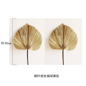 Trang Chủ Trang Trí Hoa Bảo Quản Tán Lá Cây Ổn Định Cây Cọ Khô Đầy Màu Sắc Lá Cây Cọ Khô - Product Image 6