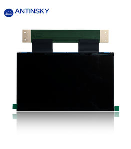 Panneau LCD Antinsky (10 pouces/Monochrome) pour Sonic Mighty 8K - Product Image 2