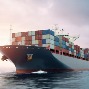 شركات شحن من الصين إلى الولايات المتحدة الأمريكية من الباب إلى الباب تدعم خدمة الشحن DDP وخدمات التعبئة والتغليف وخدمة أمازون FBA - Product Image 1