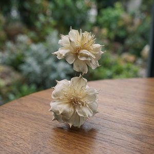Fleurs artificielles en bois de Sola écologiques faites à la main de 8 cm, blanches, emballées en vrac, pour diffuseur de roseaux, décoration intérieure, mariages, événements - Product Image 3
