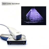 Sonde cardiaque adulte à réseau phasé compatible GE 3Sc-RS pour Vivid E9, Vivid S6, Logiq S8, Voluson E8 – Pièces de rechange pour instruments