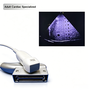 Sonde cardiaque adulte à réseau phasé compatible GE 3Sc-RS pour Vivid E9, Vivid S6, Logiq S8, <span class=keywords><strong>Voluson</strong></span> <span class=keywords><strong>E8</strong></span> – Pièces de rechange pour instruments - Product Image 1