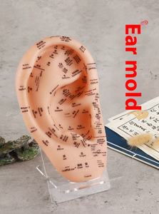 23 सेमी पारंपरिक चीनी चिकित्सा ऑरिकुलर पॉइंट मॉडल दोहरी भाषा शरीर सुरक्षा फ़ंक्शन के साथ कान अभ्यास - Product Image 6