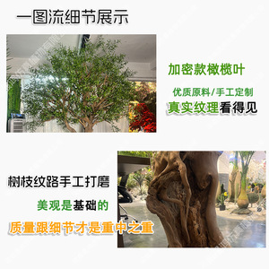 Grand olivier artificiel Shenghong Landscape, plante décorative d'intérieur de style nordique pour la maison et le bureau - Product Image 3