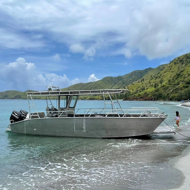 30ft Aluminum Landing Craft Cargo Boat for Diving for Outdoor Work and Recreation