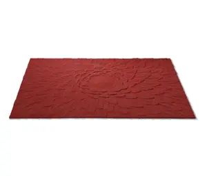Benutzer definierte rote Teppich Acryl Teppich Wohnzimmer Home Decor Area Teppiche
