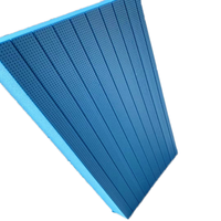 Panneaux isolants en mousse plastique XPS haute densité de style industriel Blocs en polystyrène ignifuges pour mur extérieur