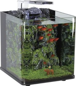 Nano Kubus Glazen Desktop Klein <span class=keywords><strong>Aquarium</strong></span> - Product Image 3