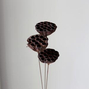 Boccioli di Loto Essiccati di Alta Qualità, <span class=keywords><strong>Fiori</strong></span> Personalizzati dello Stile Zen per Decorazioni Domestiche, Matrimoni e Ghirlande Natalizie in Vari Stili Cinesi - Product Image 6