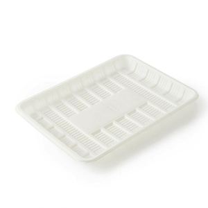 Plato de Cena Ecológico, Resistente, Desechable, Biodegradable y Compostable, Hecho de Almidón de Maíz, para Camping, 20.3x20.3cm - Product Image 2