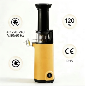 Mini presse-agrumes vertical WJE C1B, goulotte d'alimentation large de 45 mm, technologie d'extrusion spirale, 120 W pour jus de légumes et de fruits - Product Image 5