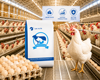 SAIK Prémélange en poudre composé à 5 % avec vitamines et acides aminés pour poules pondeuses favorisant la croissance