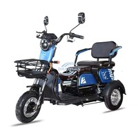 Quadricycle électrique confortable pour adultes, carrosserie ouverte, utilisation cargo, 2 passagers, trajets courts, vélo électrique